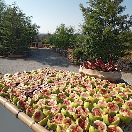 Bed and Breakfast ONIRO Specchia Esterno foto
