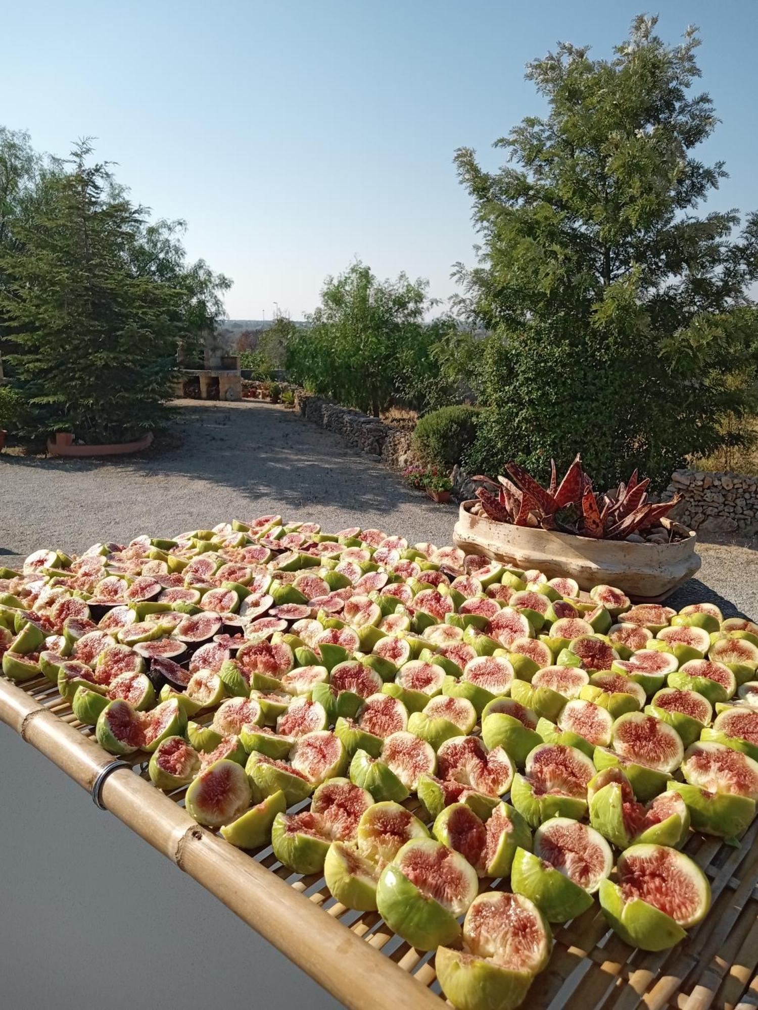 Bed and Breakfast ONIRO Specchia Esterno foto