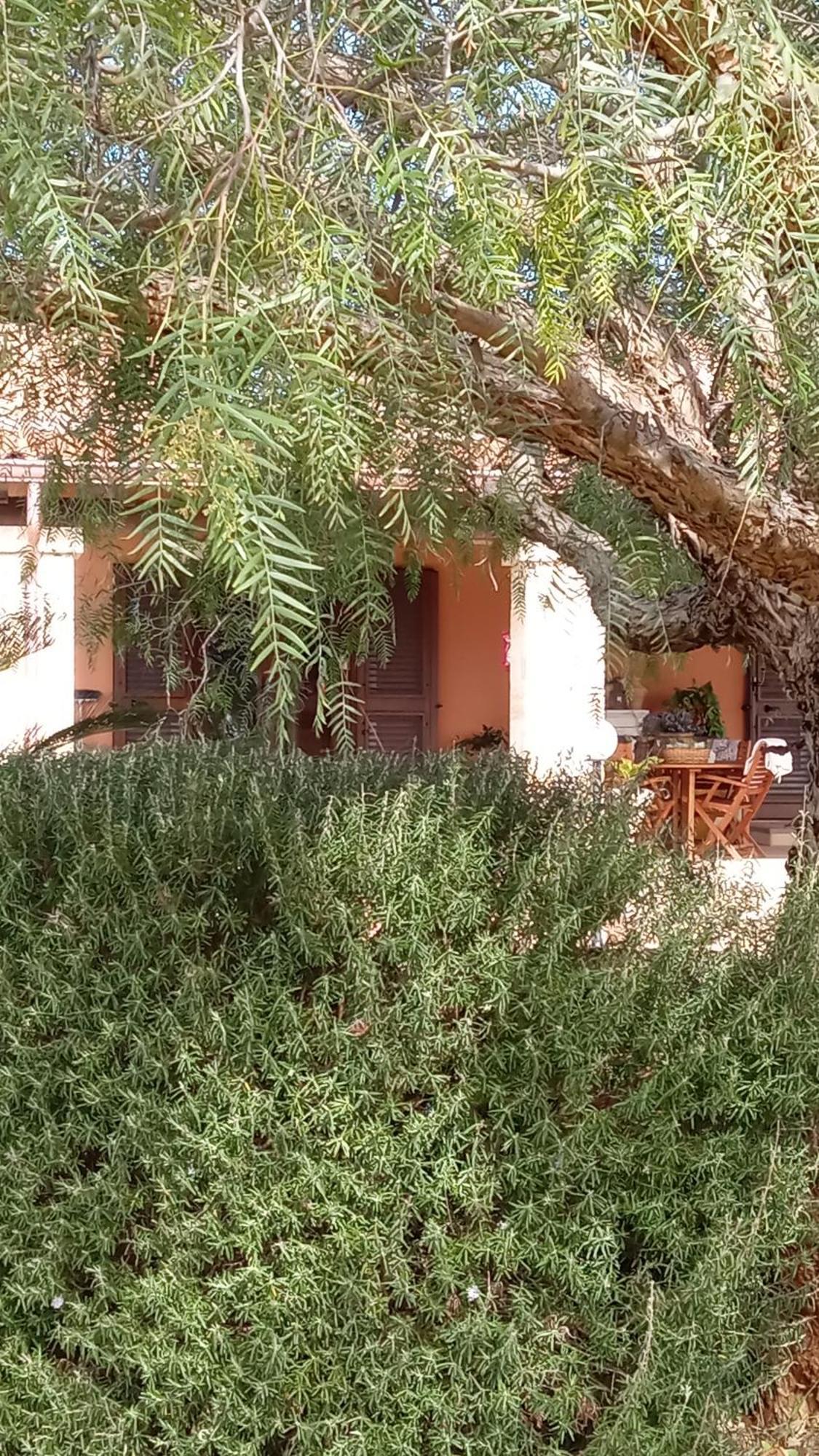 Bed and Breakfast ONIRO Specchia Esterno foto
